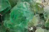 Apple-Green Fluorite Crystals with Smoky Quartz - Fluorescent! #348144-4